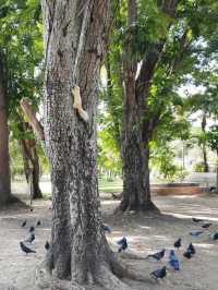 เดินเที่ยวหนองประจักษ์อุดร