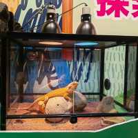 荃灣市中心浩海立方探遊館探索不同生物