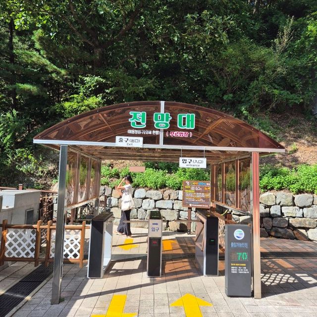 🤲꼬불꼬불 울긋불긋 가을여행 말티재 전망대🤲