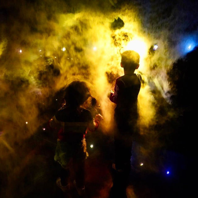 Tokyo Teamlab Borderless