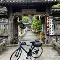 四國遍路+瀨戶內海單車遊