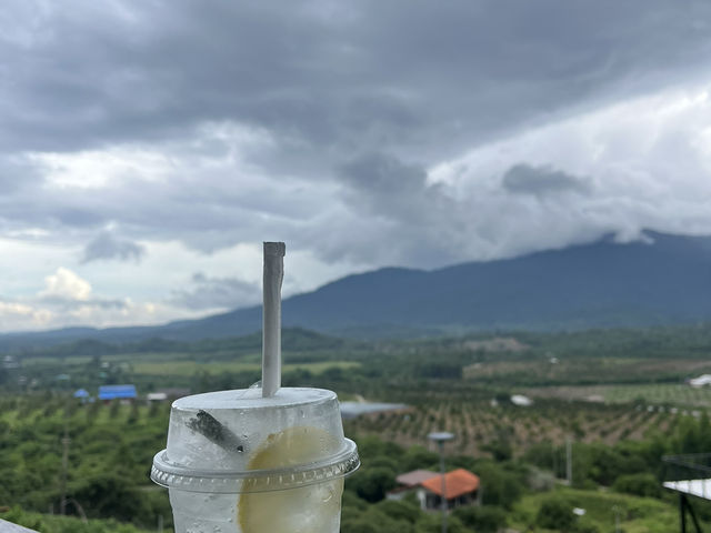 Catch the moon Camping & Cafe 🏕️☕️