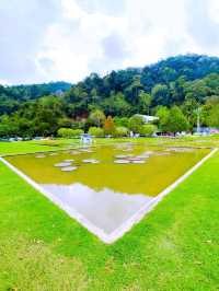 Enjoying Penang Botanic Gardens 