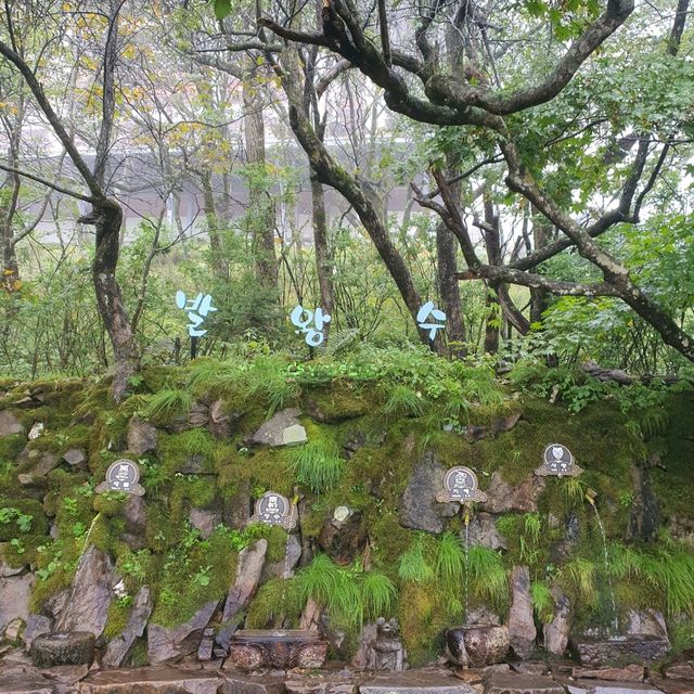 평창. 진부의 발왕산, 오대산 월정사 여행