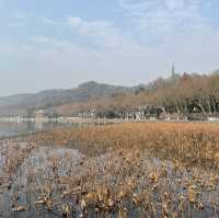 Exploring Serenity: A Journey Through Hangzhou’s West Lake