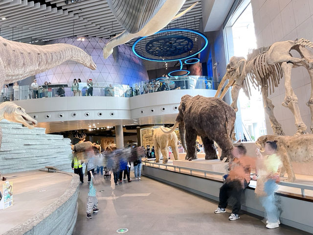 เดินเล่นพิพิธภัณฑ์ประวัติศาสตร์ธรรมชาติเซี่ยงไฮ้🦕