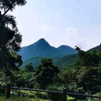 大坑墩清水灣郊野公園