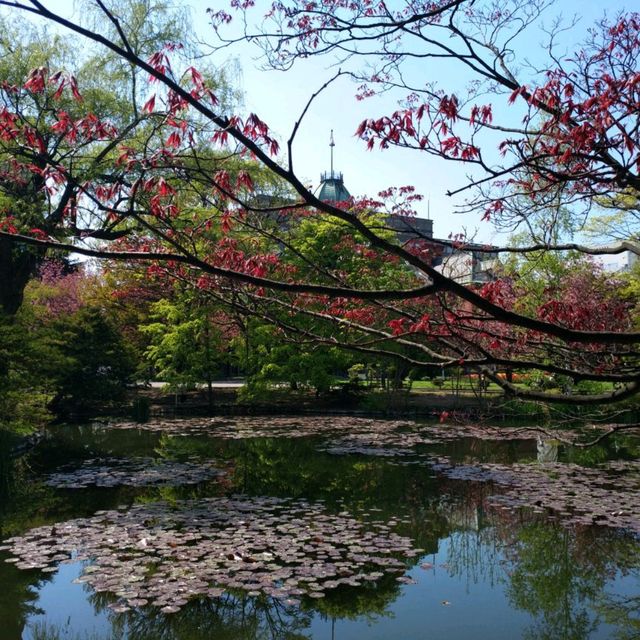 北海道大學植物園