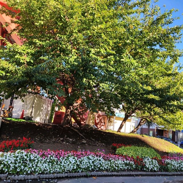 北海道之旅-札幌市區自由行-大通公園/豐平館/札幌天文臺/計時台