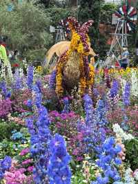 Australian Carnival of Flowers at Flower Dome