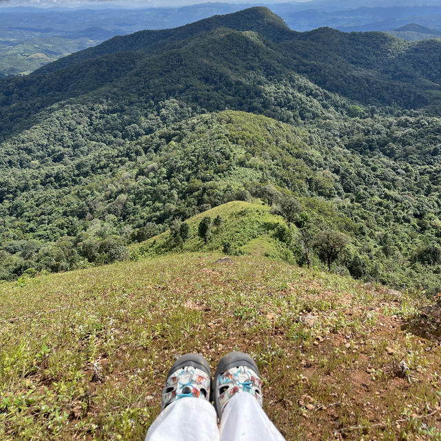 ถ่ายรูปกลางทุ่งหญ้าเขียวขจี🍃🌳🌱