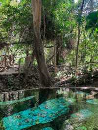 Saline Hot Spring Khlong Thom