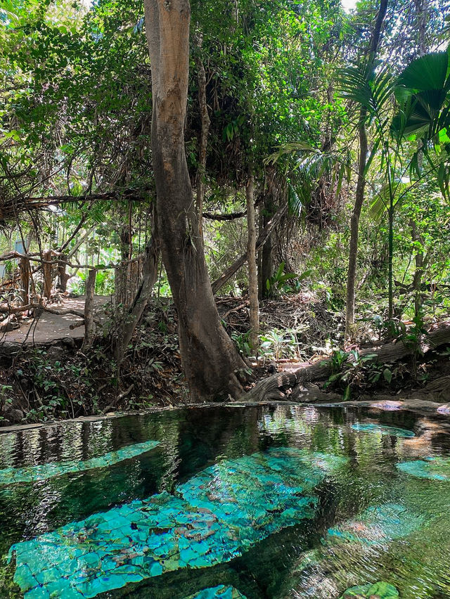 Saline Hot Spring Khlong Thom