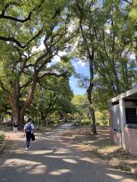 【東京】東京タワーがきれいに見える公園