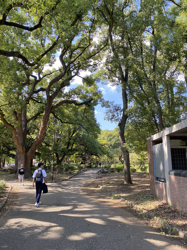 【東京】東京タワーがきれいに見える公園