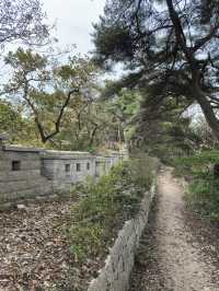 Fresh air and smell of pine trees in Bukhansan forest