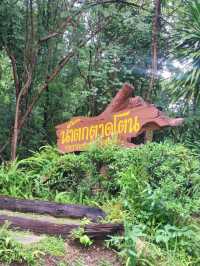 น้ำตกตาดโตน จ.ชัยภูมิ