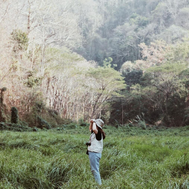 อ่างเก็บน้ำห้วยสามขา 🌱🍃 @MaeTha, Lampang