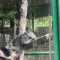 蘇比克灣潛水時間