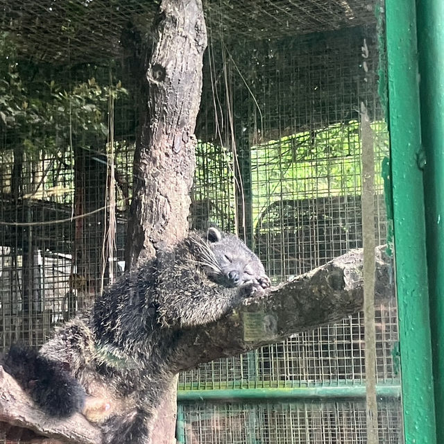 蘇比克灣潛水時間