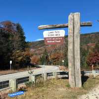 Autumn Bliss: White Mountain National Forest's Vibrant Splendor 