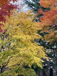 【秋の山梨1泊2日旅】  おすすめスポット👍  ヨーロッパ調の建物と紅葉💕