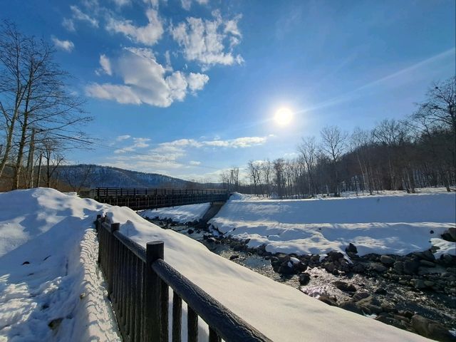 【大雪旭岳源水公園:北海道東川町】大自然の恵みのお水を飲もう✨