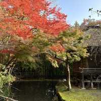 秋の世界遺産 中尊寺