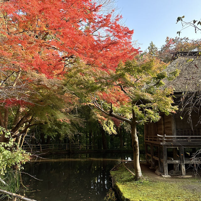 秋の世界遺産 中尊寺