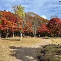 多摩川台公園：初秋色彩下的悠閒時光 🍂🌳