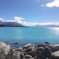 【ニュージーランド🇳🇿】テカポ湖ドライブ！