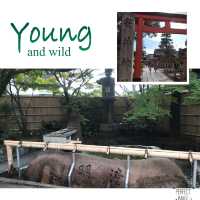 最有特色嘅參拜寺廟：安井金比羅宮