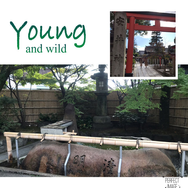 最有特色嘅參拜寺廟：安井金比羅宮