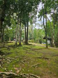 อุทยานแห่งชาติทองผาภูมิ