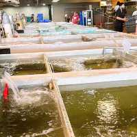 台北旅遊景點‼️台北魚市「上引水產」