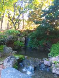 【北海道】自然がいっぱい中島公園
