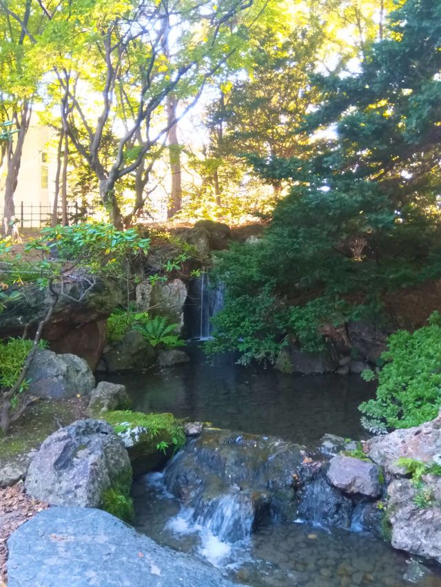 【北海道】自然がいっぱい中島公園