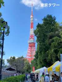 【東京】東京タワーに増上寺！浜松町もバイクシェアで快適観光