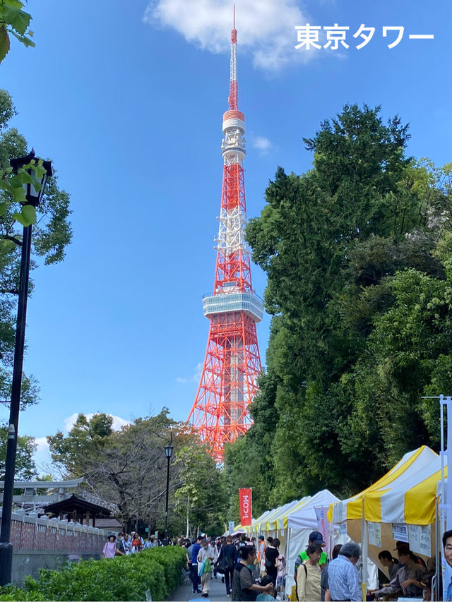 【東京】東京タワーに増上寺！浜松町もバイクシェアで快適観光
