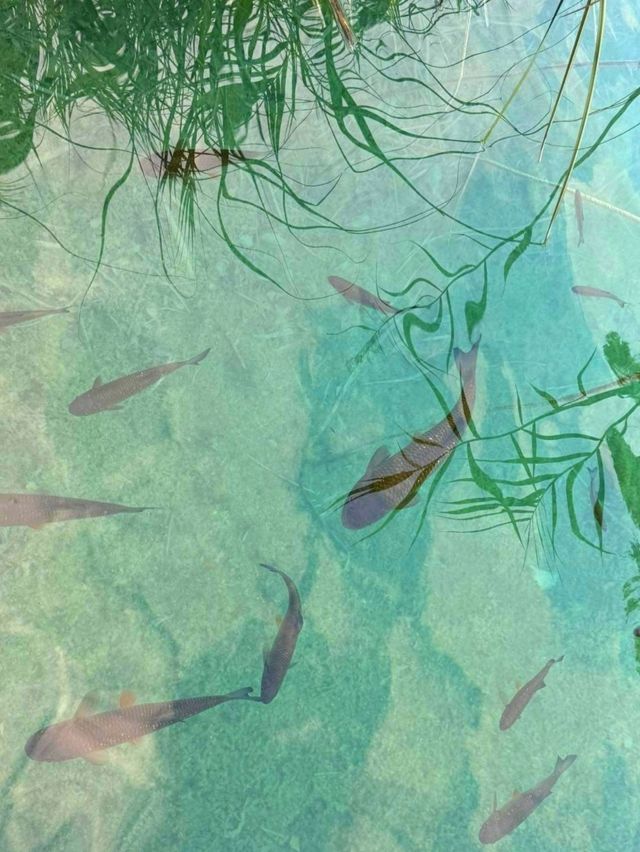 克羅地亞湖區郊遊