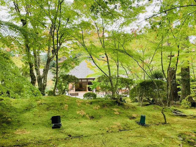 松島　円通院