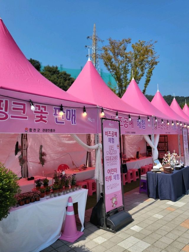핑크뮬리 탑티어는 역시 합천