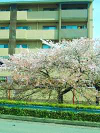 ชานเมืองโอซาก้า ญี่ปุ่น