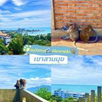 ชมวิวทะเล•ให้อาหารลิง เขาสามมุข