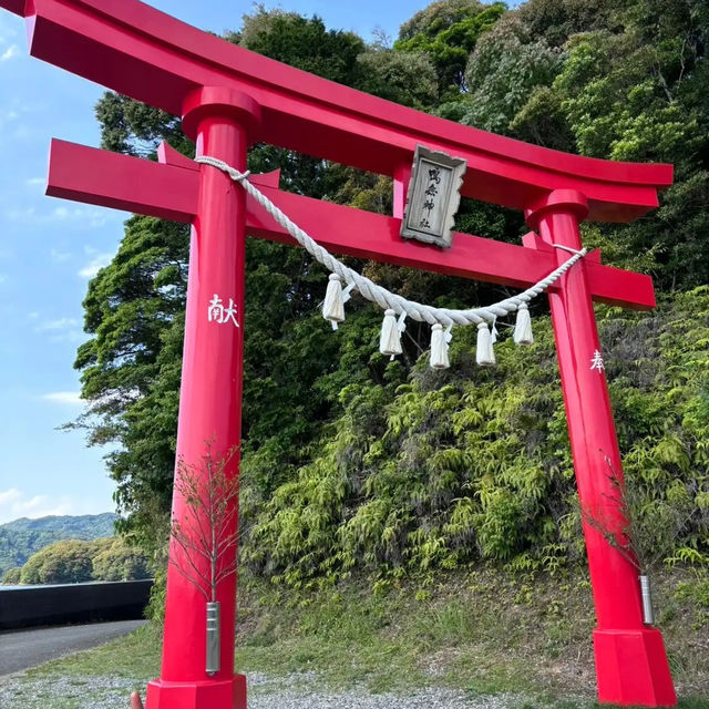 【高知】縁結びの神様がいる神社