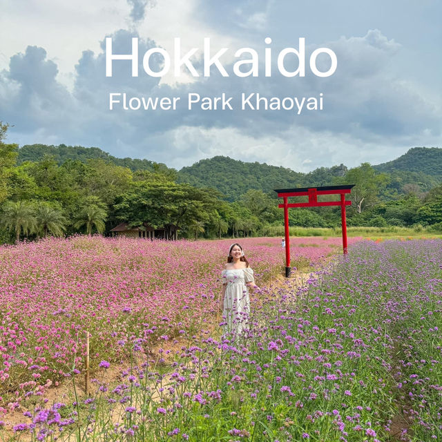 Hokkaido Flower Park Khaoyai