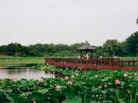 圓明園：曾經最美麗的萬園之園
