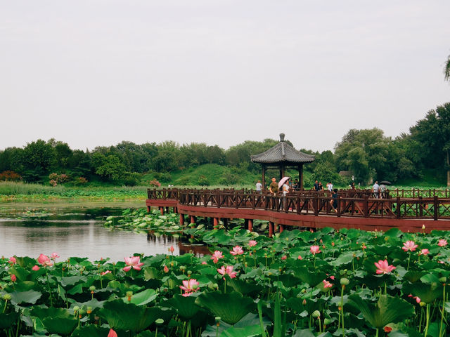 圓明園：曾經最美麗的萬園之園