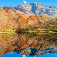 【福井】福井のおすすめ紅葉スポット！