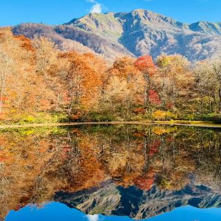Recommended Autumn Foliage Spots in Fukui!
